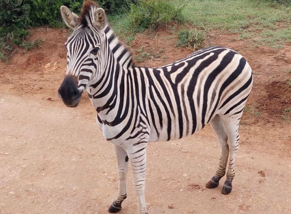 WhatsApp Image 2025 09 23 at 17.30.24 1