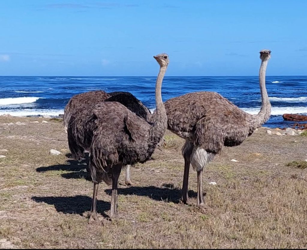 WhatsApp Image 2025 09 23 at 17.30.25 1