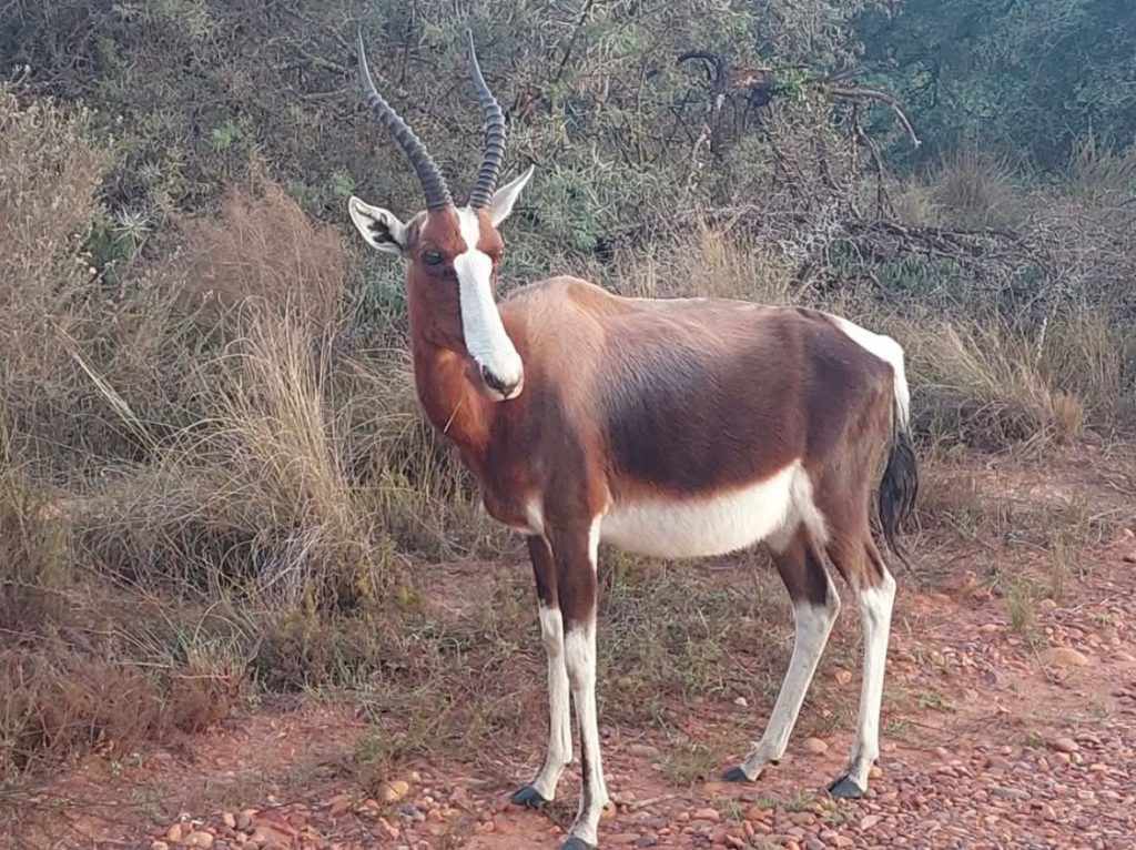 WhatsApp Image 2025 09 23 at 17.30.25