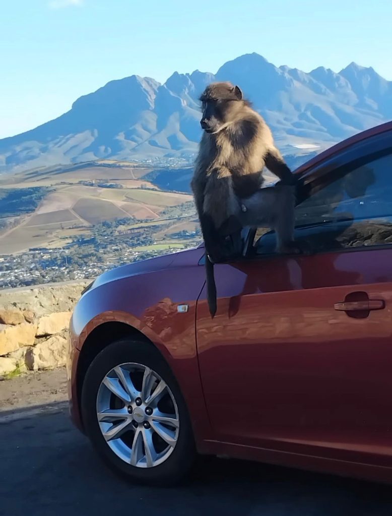 WhatsApp Image 2025 09 23 at 17.30.29