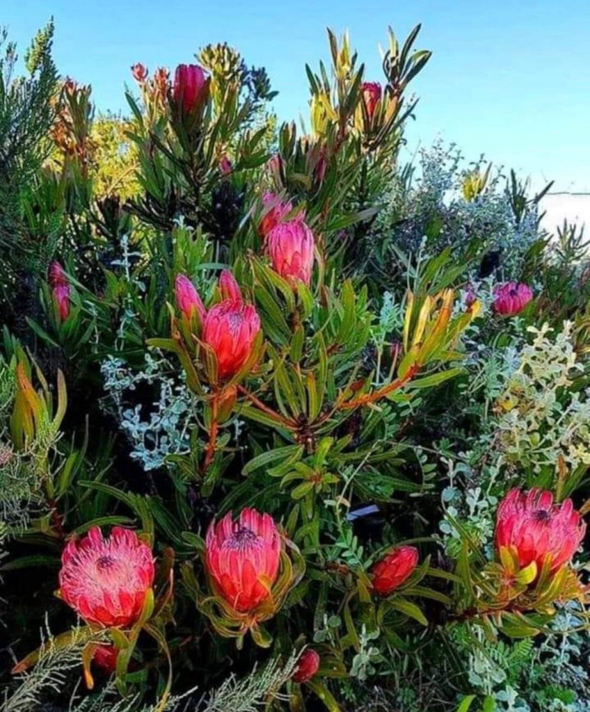 WhatsApp Image 2025 09 23 at 21.08.53