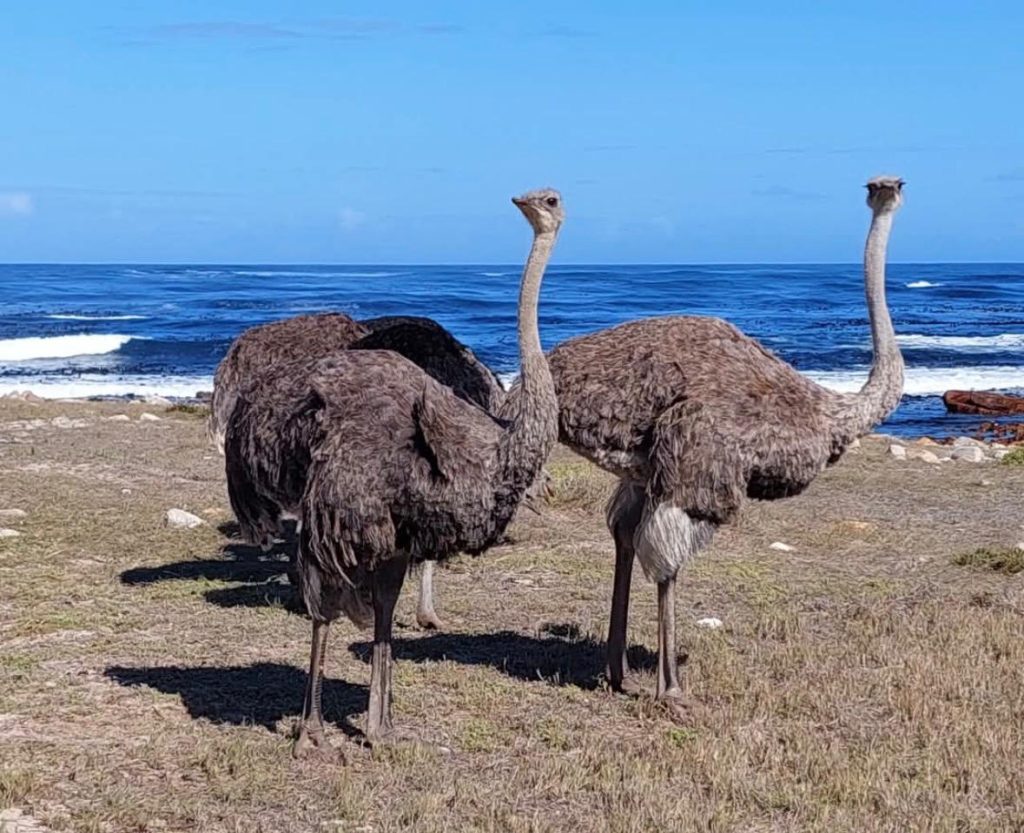 WhatsApp Image 2025 09 24 at 08.13.32 1