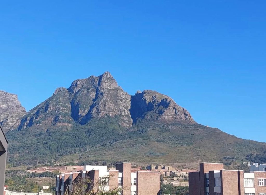 WhatsApp Image 2025 09 24 at 08.13.32