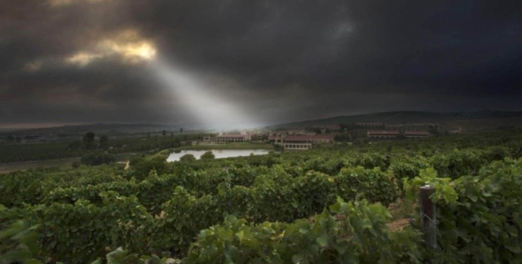 WhatsApp Image 2025 09 24 at 08.30.23 1