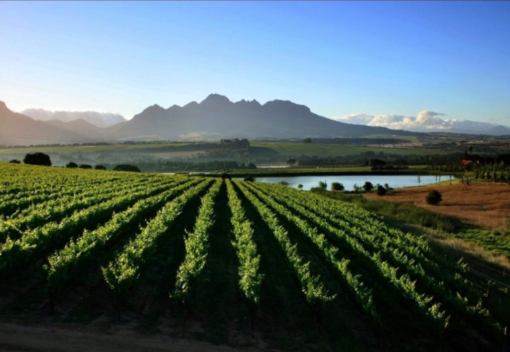 WhatsApp Image 2025 09 24 at 08.30.23 2