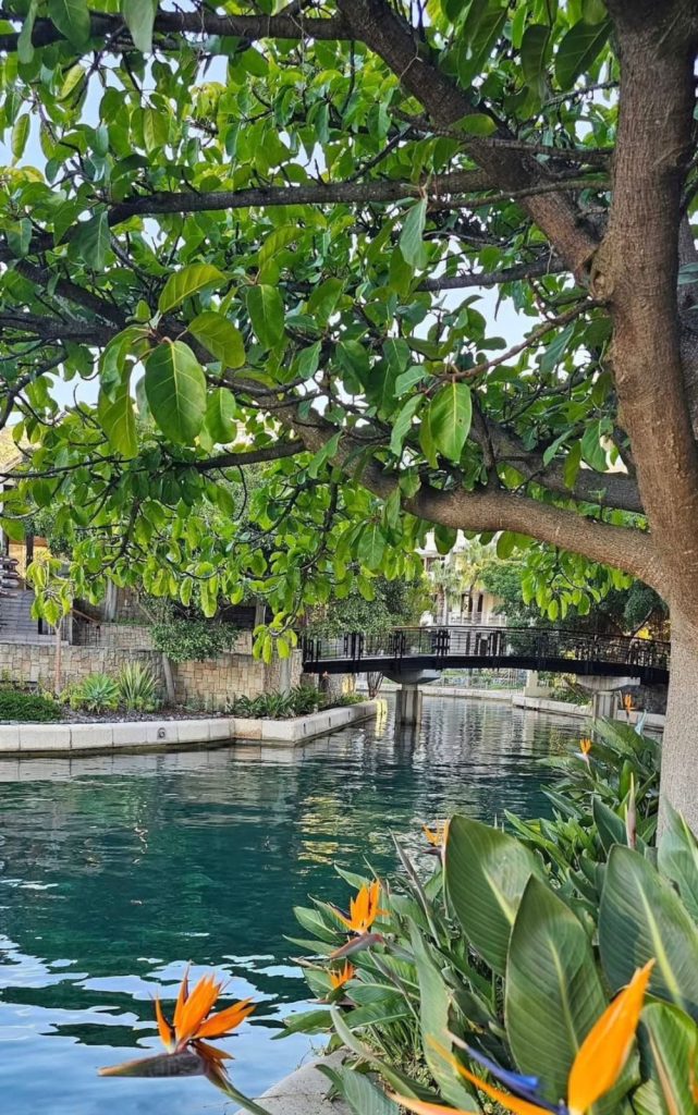 WhatsApp Image 2025 09 24 at 08.30.24