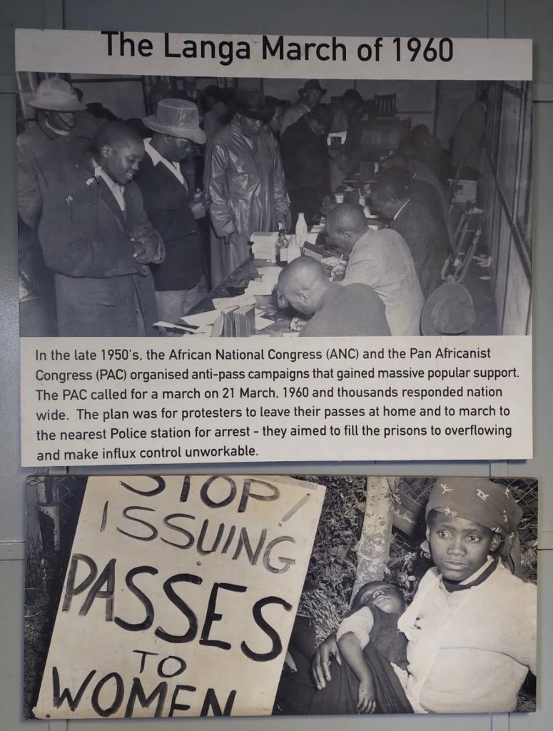 WhatsApp Image 2025 09 24 at 09.30.10