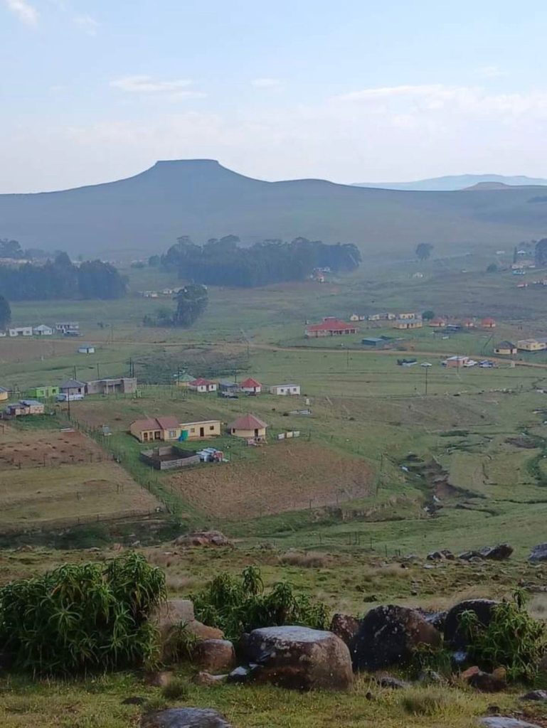 WhatsApp Image 2025 09 24 at 09.50.25 1